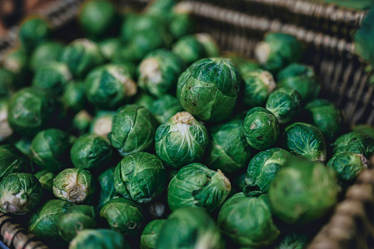 Do not mock the humble sprout. Treated well, it will give you a delicious—and nutritious—side.